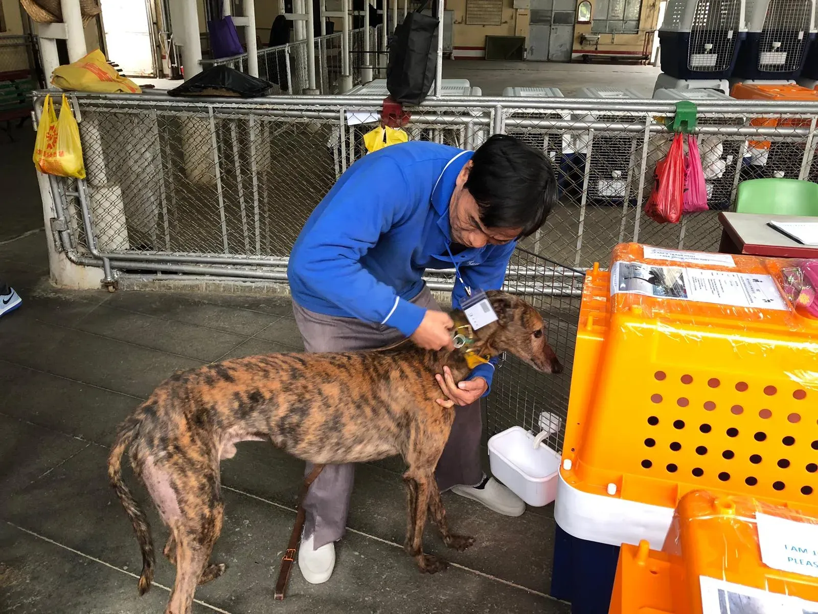 WhatsApp Image 2019 01 03 at 10.24.46