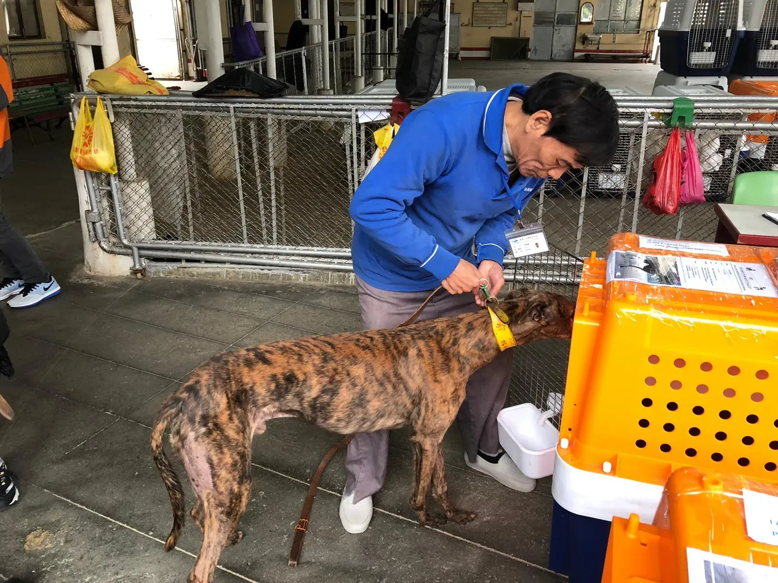 WhatsApp Image 2019 01 03 at 10.24.461