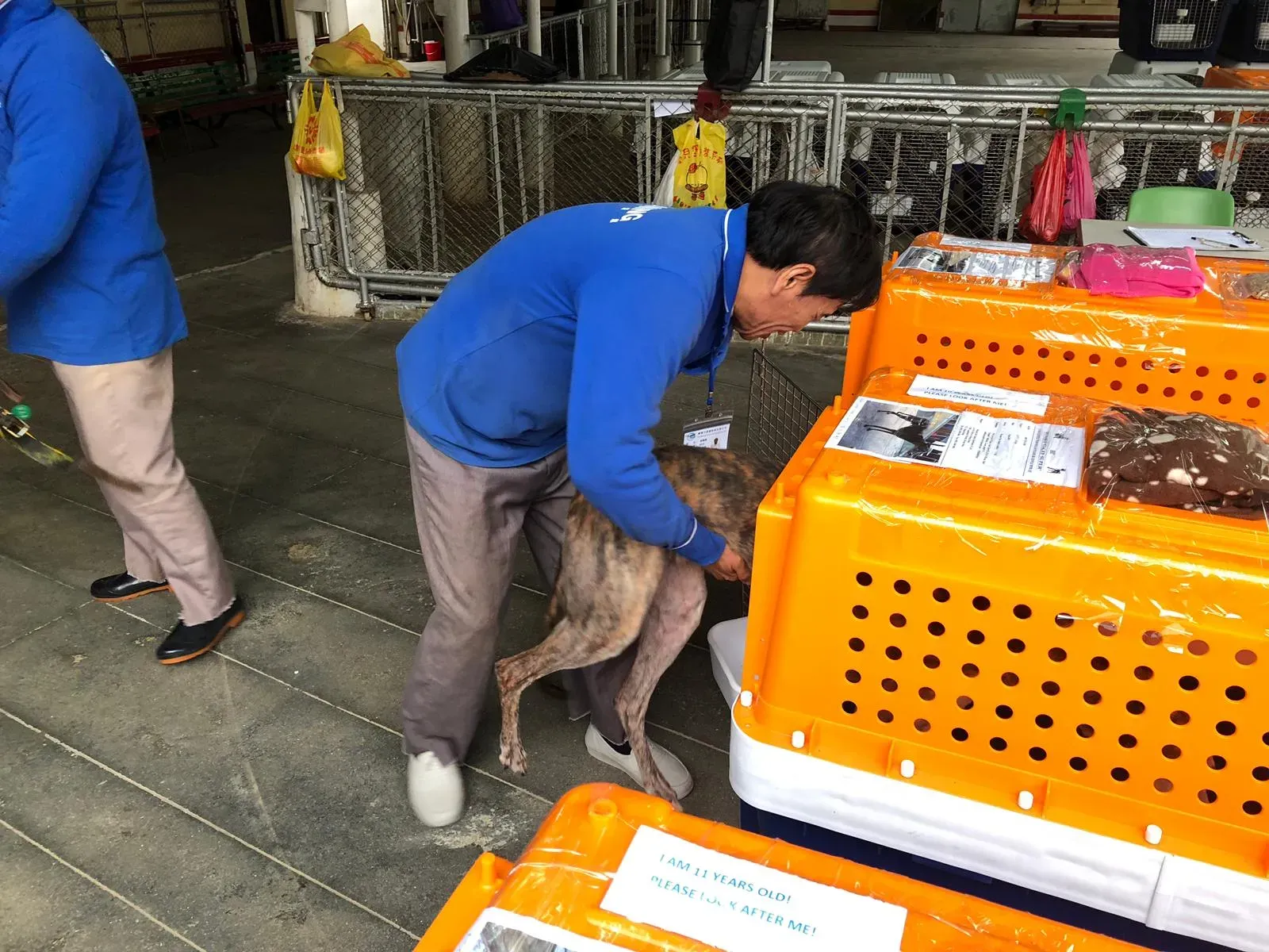 WhatsApp Image 2019 01 03 at 10.24.462