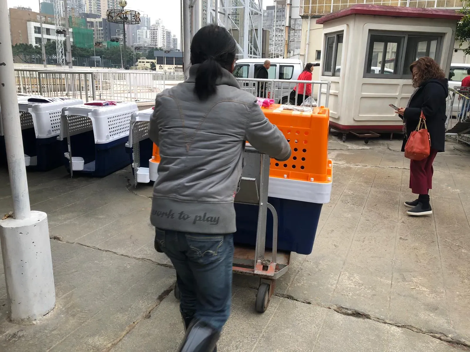 WhatsApp Image 2019 01 03 at 10.24.47