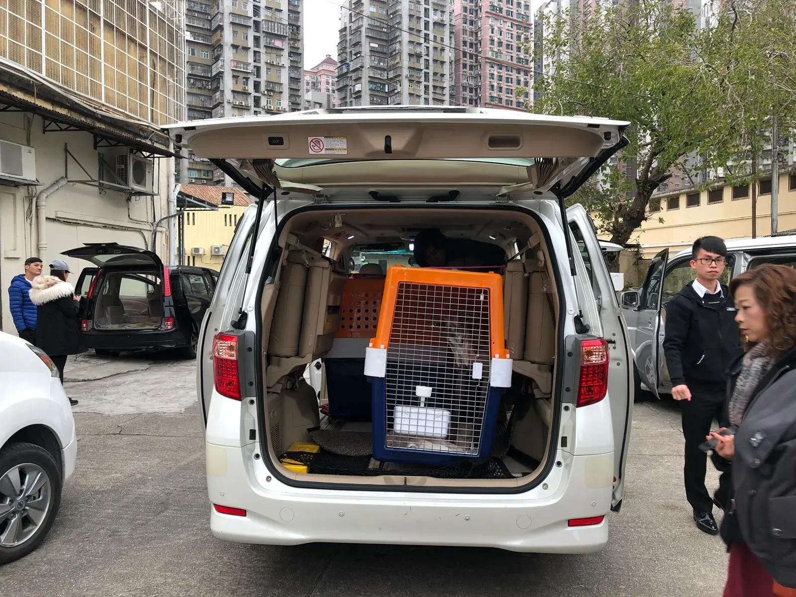 WhatsApp Image 2019 01 03 at 10.25.22