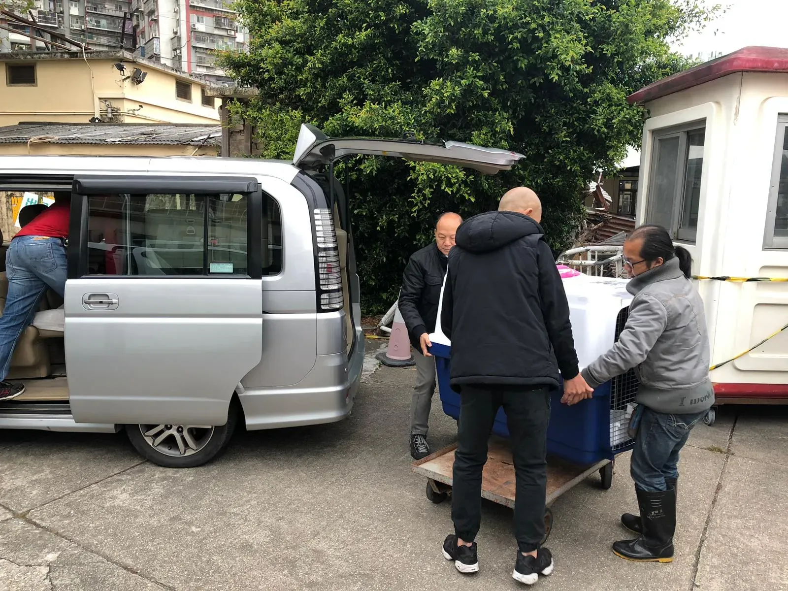 WhatsApp Image 2019 01 03 at 10.25.221