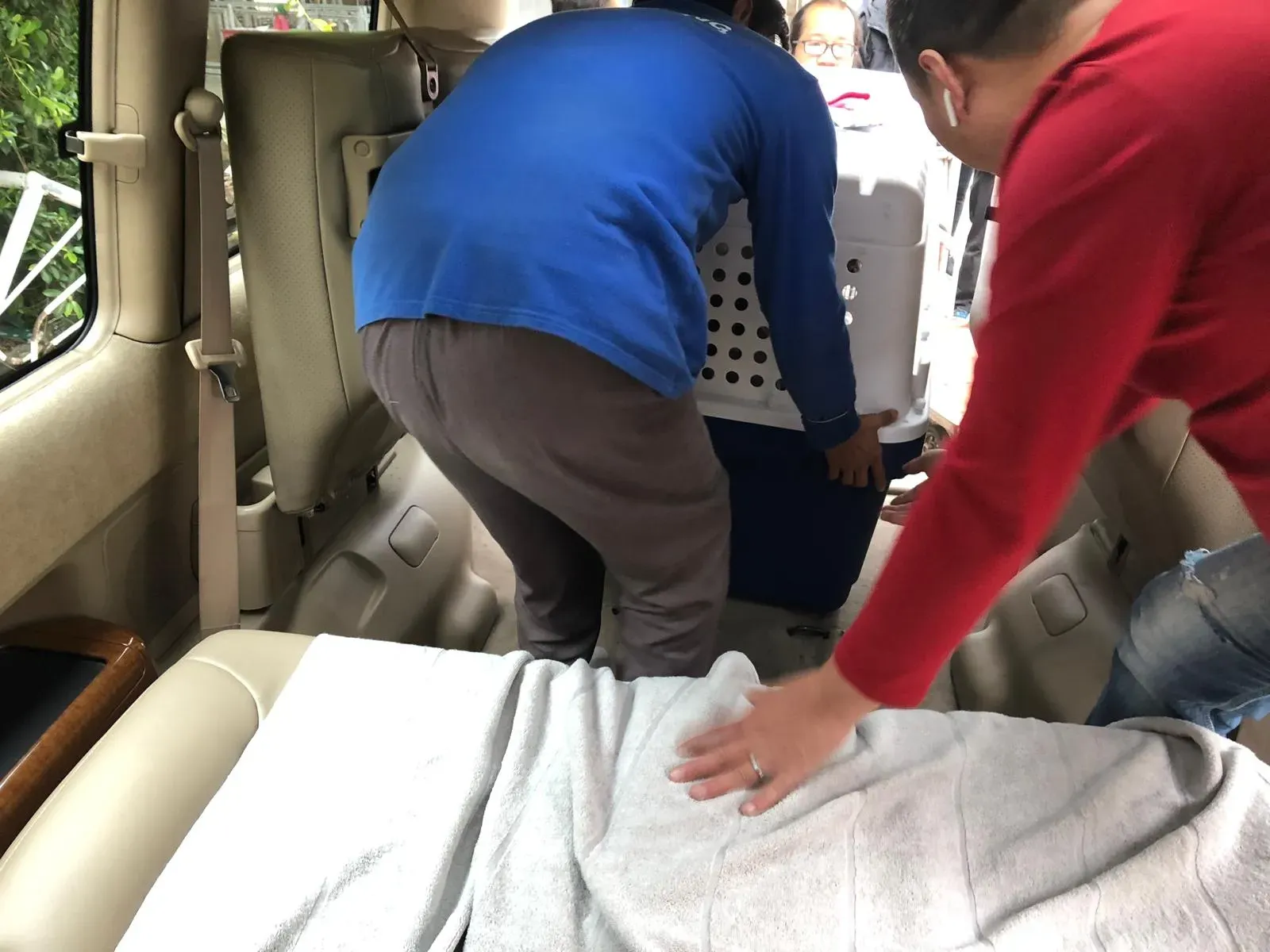 WhatsApp Image 2019 01 03 at 10.25.222