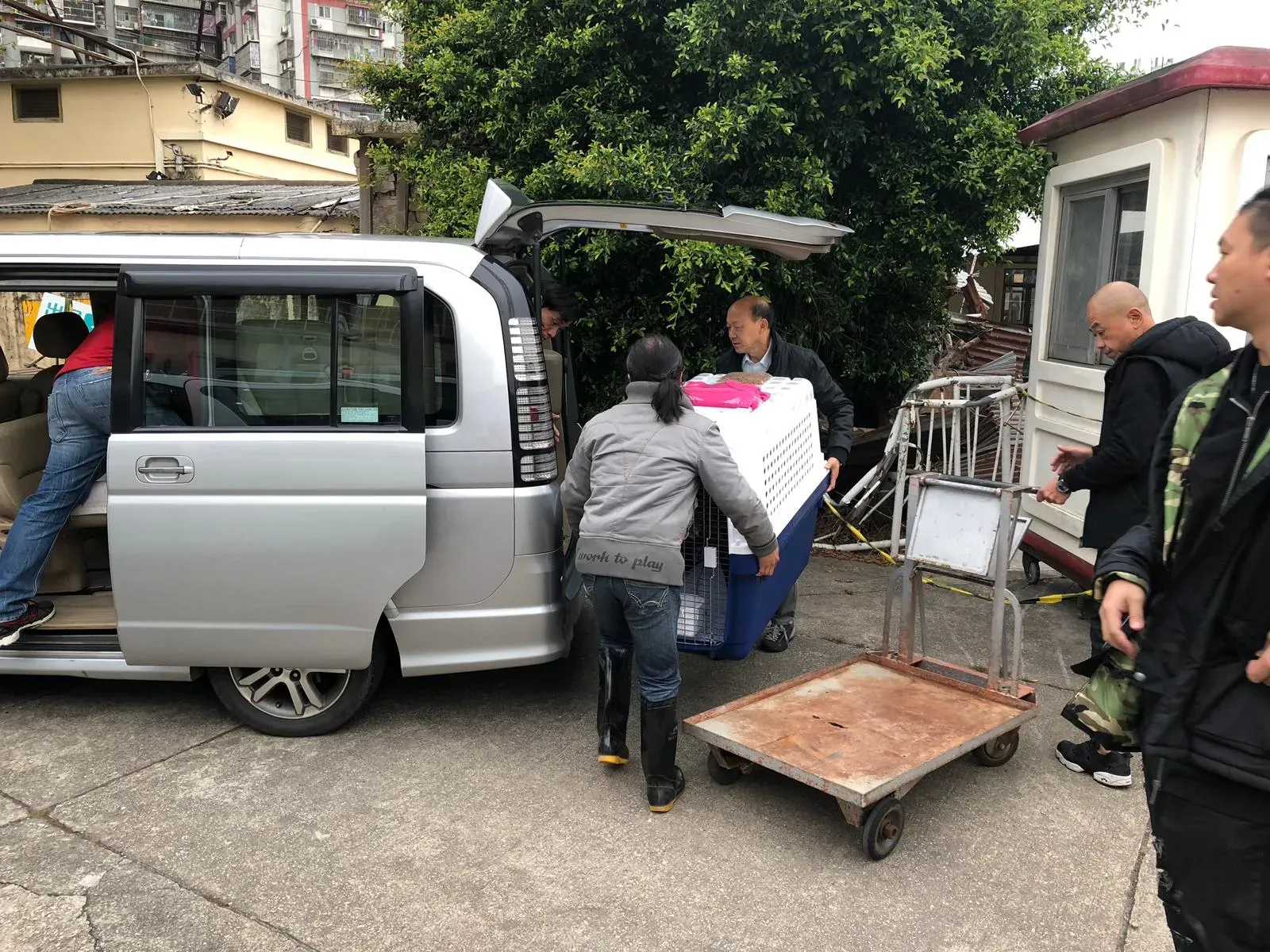 WhatsApp Image 2019 01 03 at 10.25.23