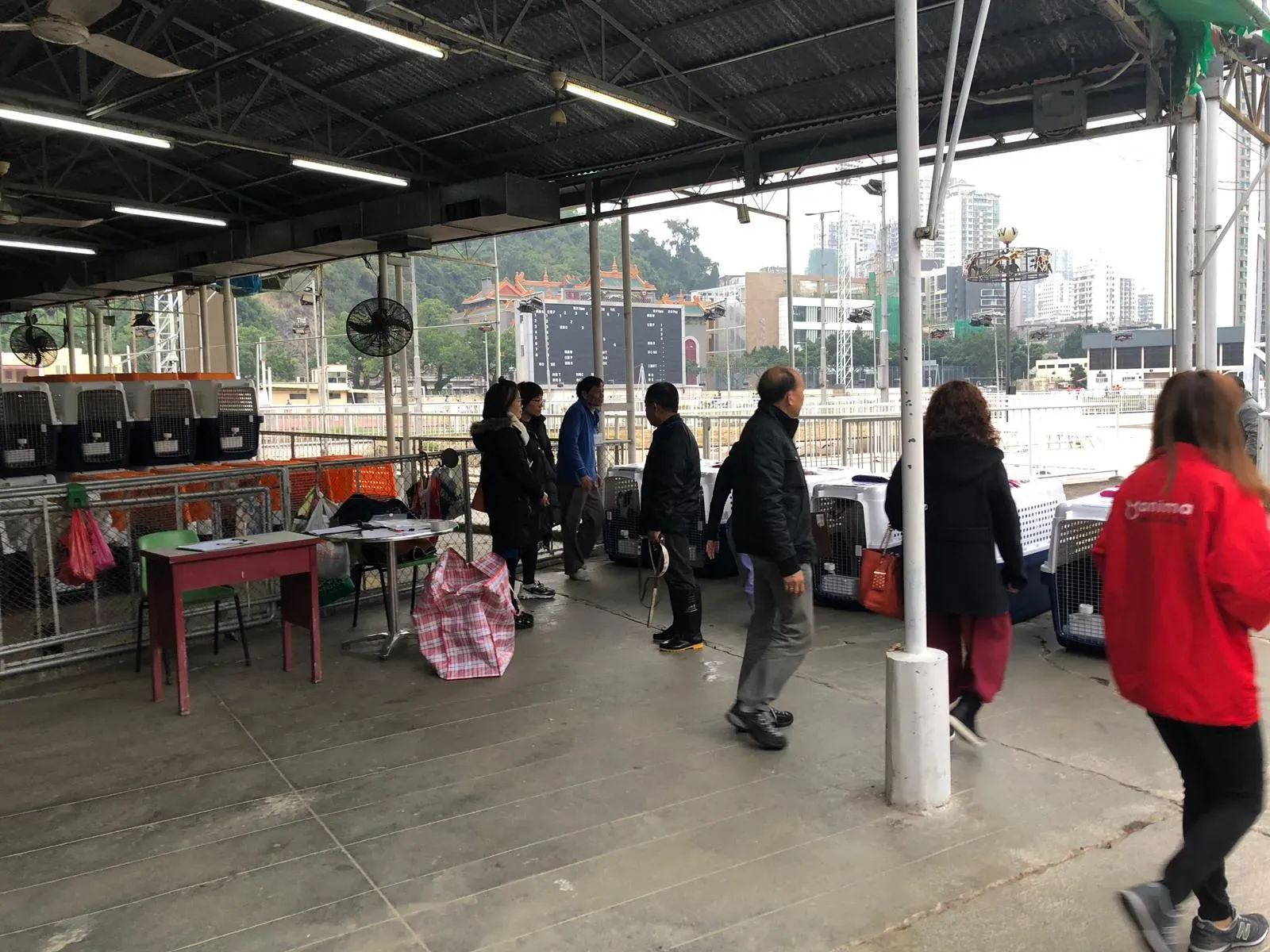 WhatsApp Image 2019 01 03 at 10.25.231