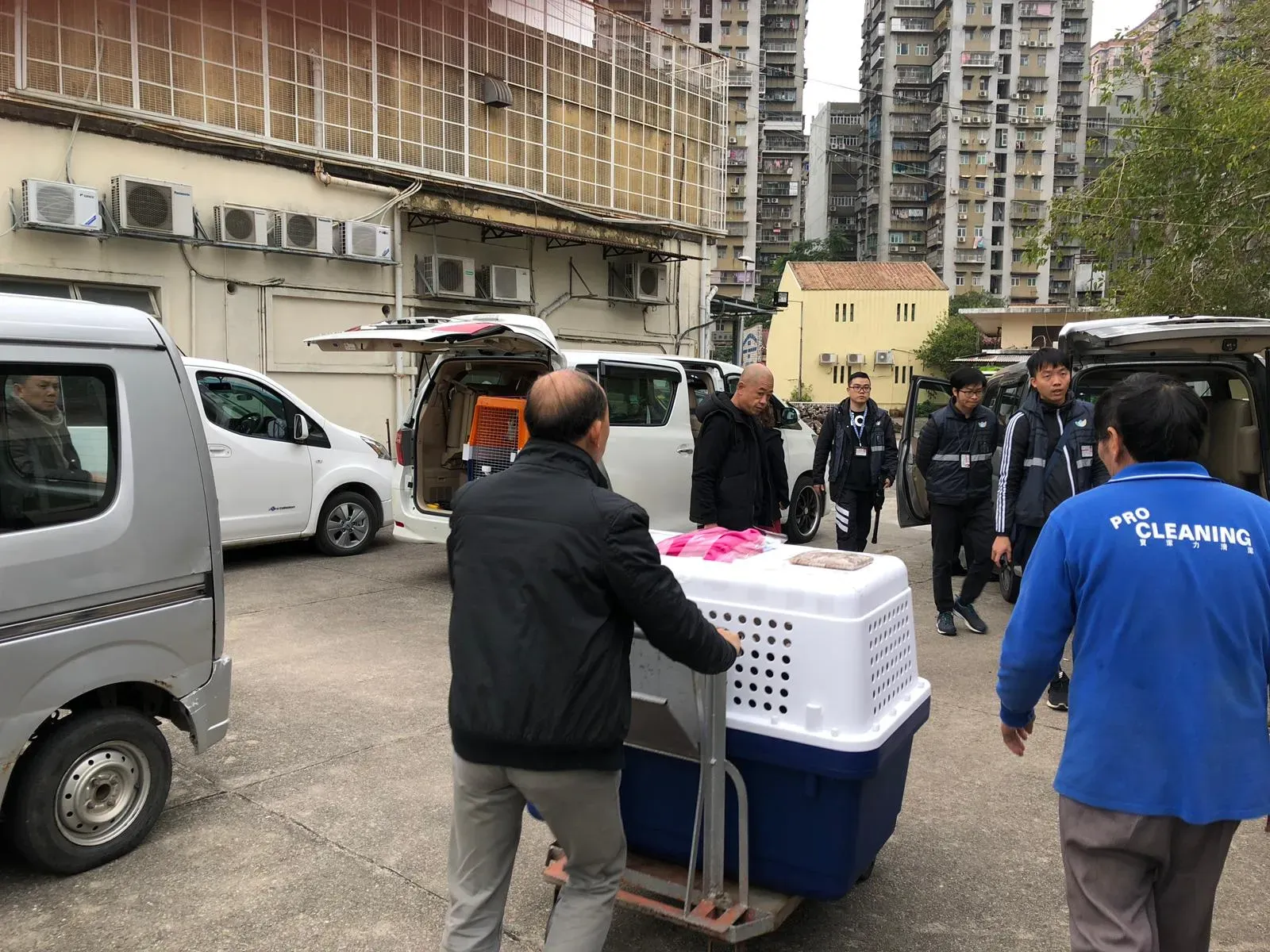 WhatsApp Image 2019 01 03 at 10.25.232