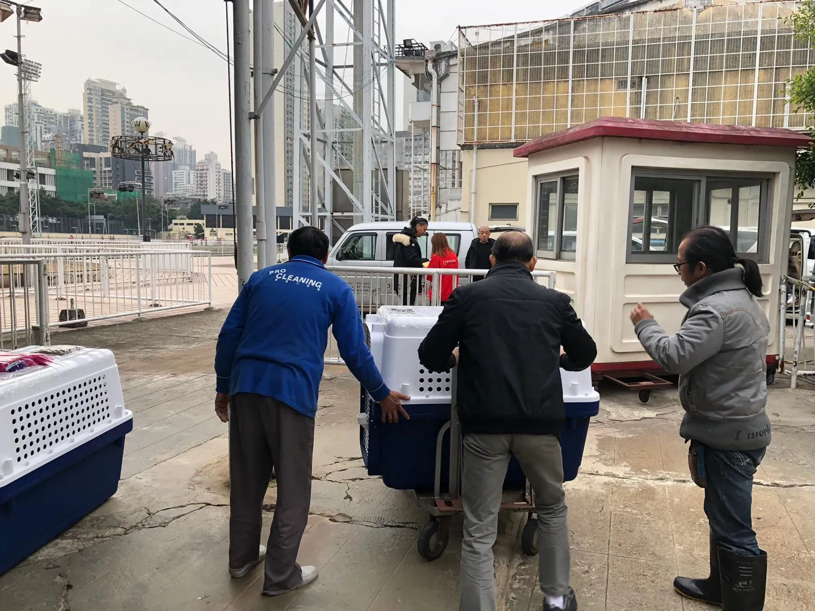 WhatsApp Image 2019 01 03 at 10.25.55