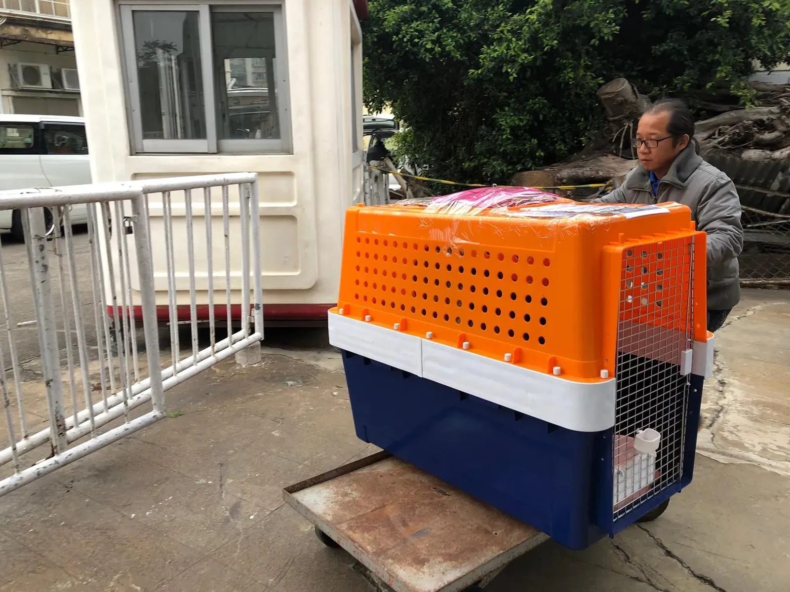 WhatsApp Image 2019 01 03 at 10.25.56