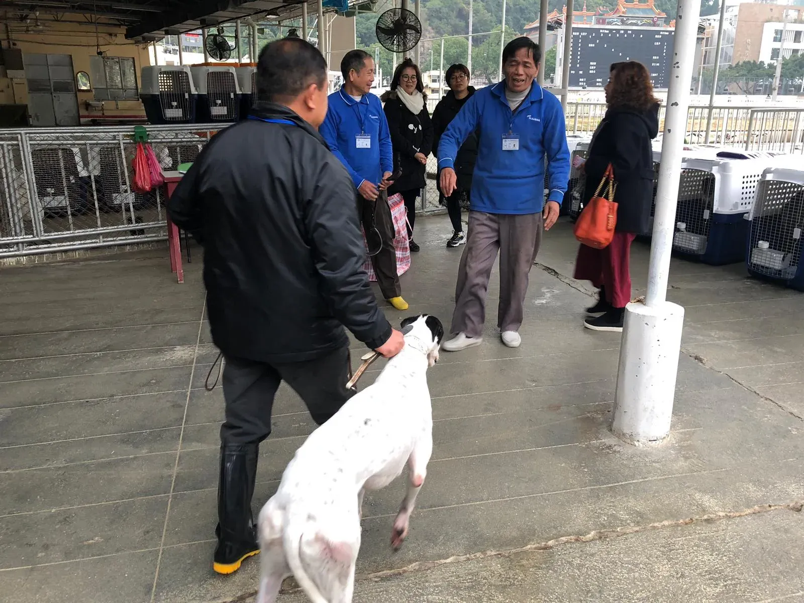 WhatsApp Image 2019 01 03 at 10.25.561