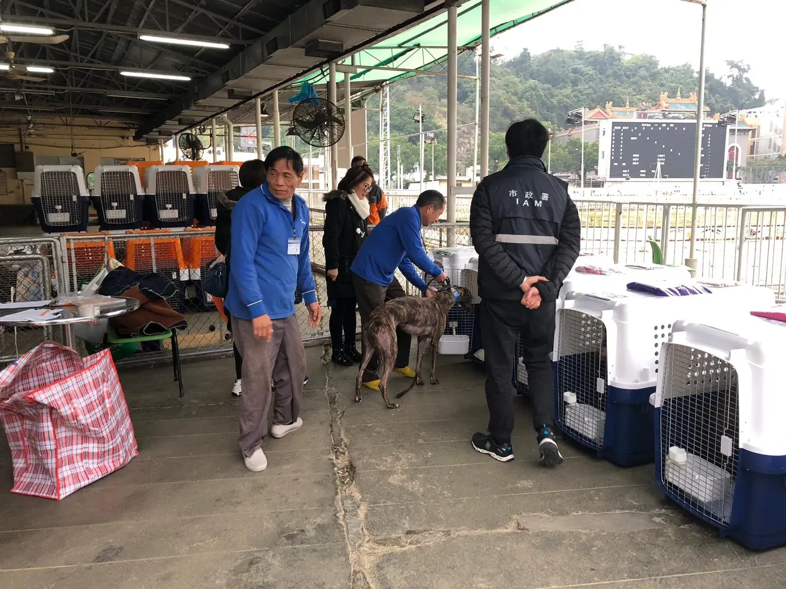 WhatsApp Image 2019 01 03 at 10.25.581