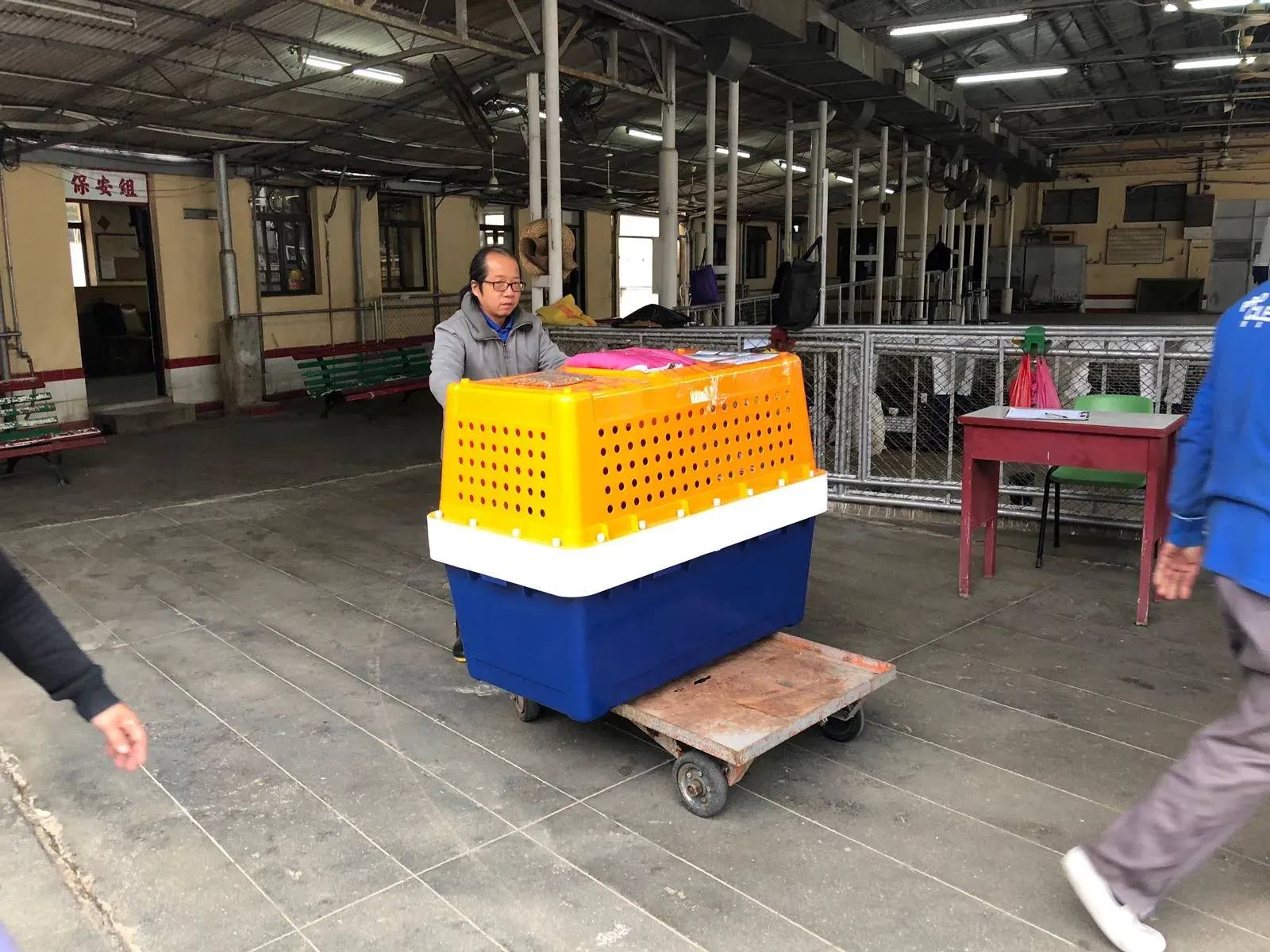 WhatsApp Image 2019 01 03 at 10.26.31