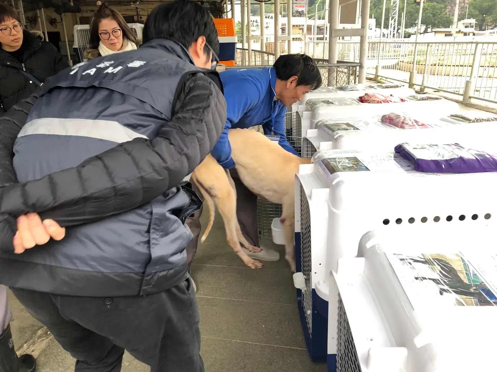 WhatsApp Image 2019 01 03 at 10.27.00