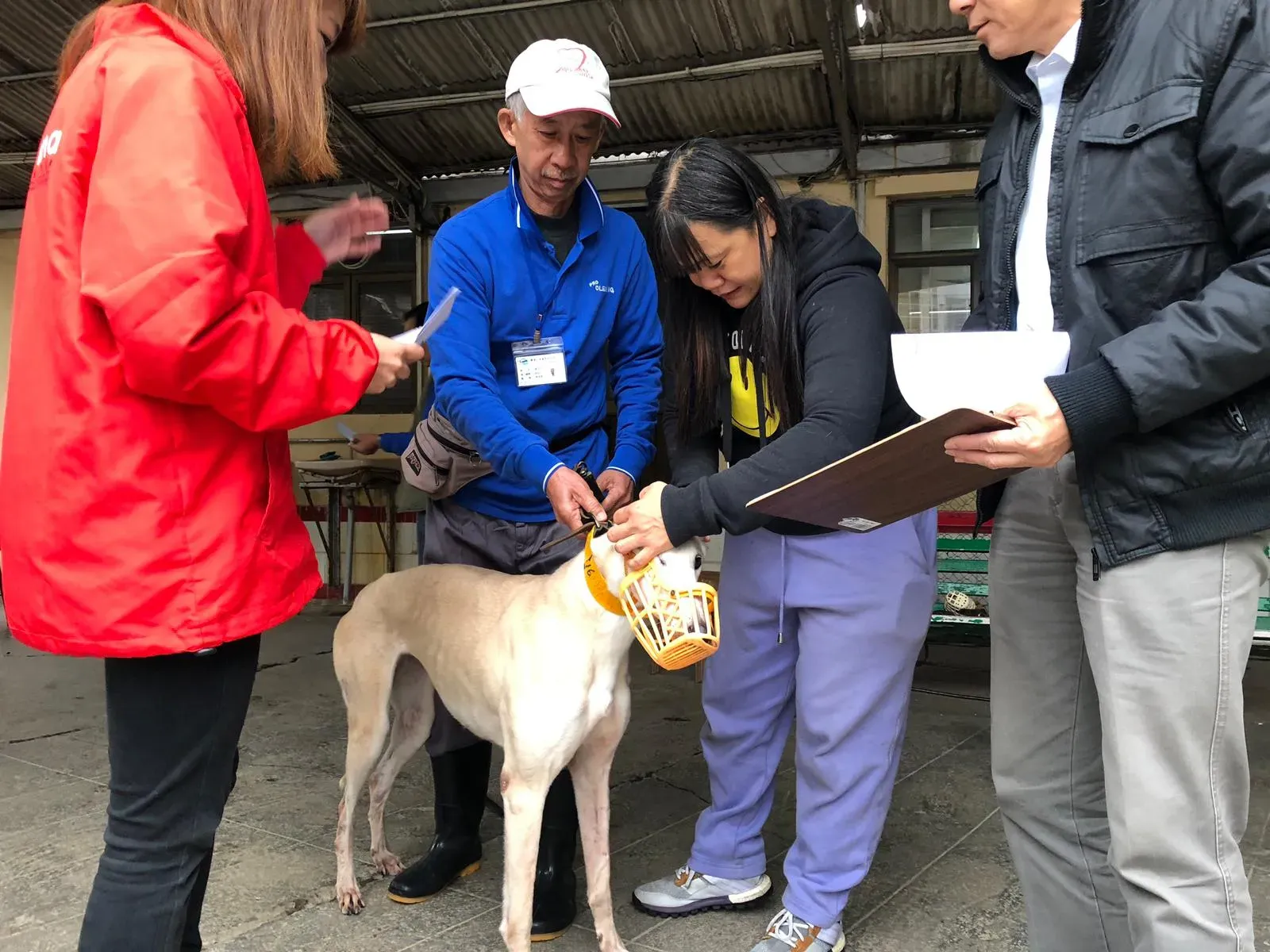 WhatsApp Image 2019 01 03 at 10.27.011