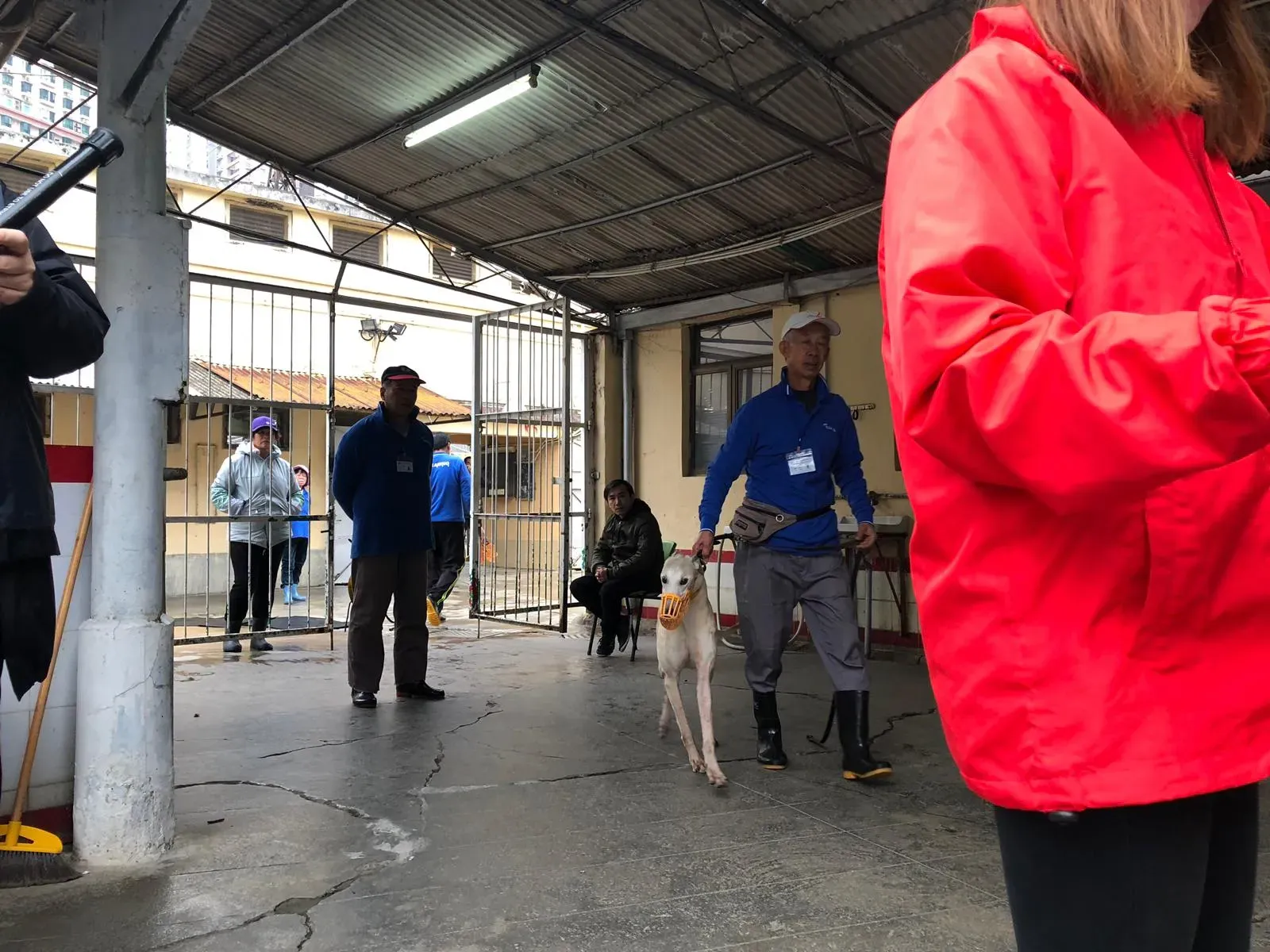 WhatsApp Image 2019 01 03 at 10.27.021