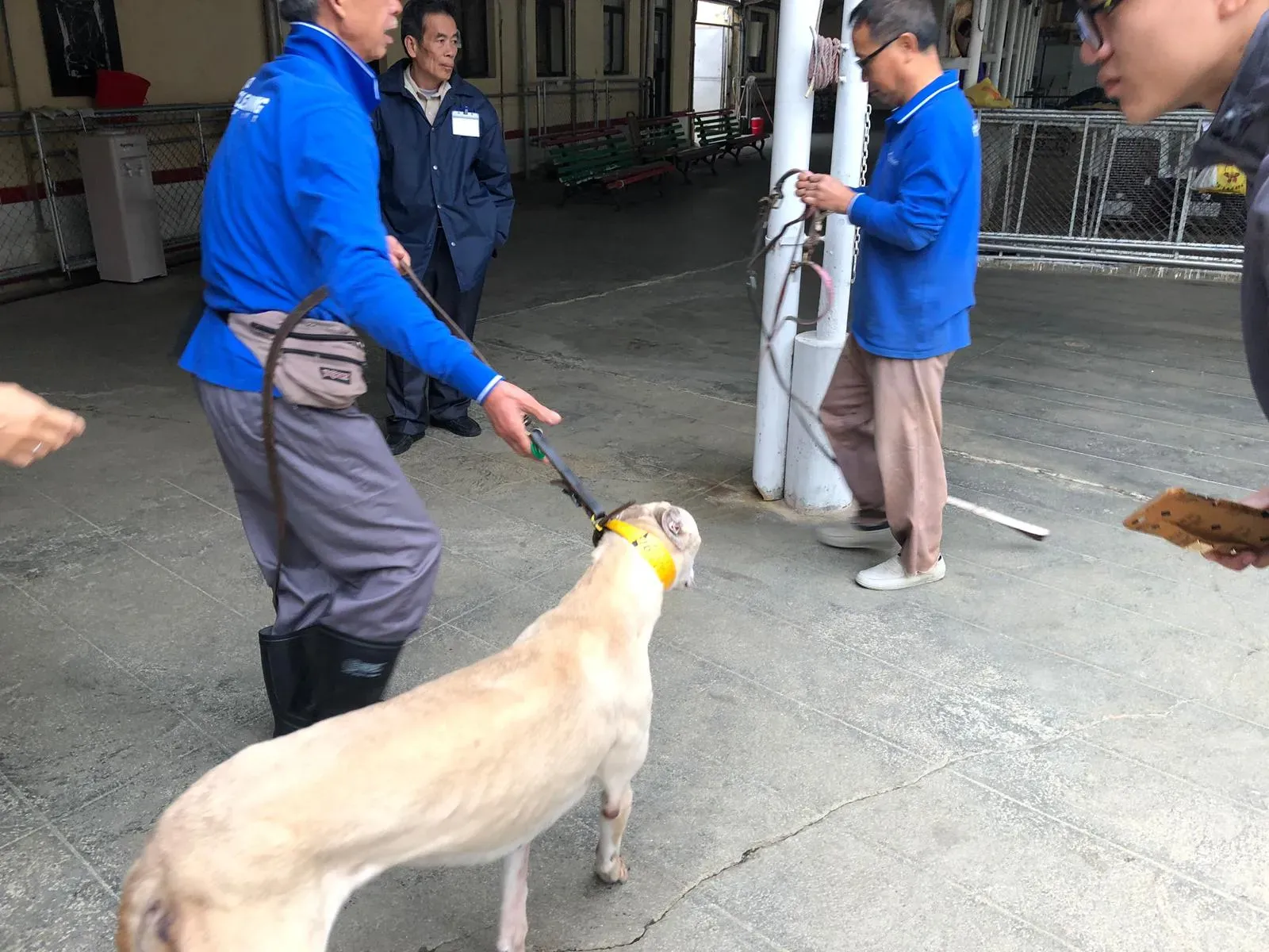 WhatsApp Image 2019 01 03 at 10.27.03