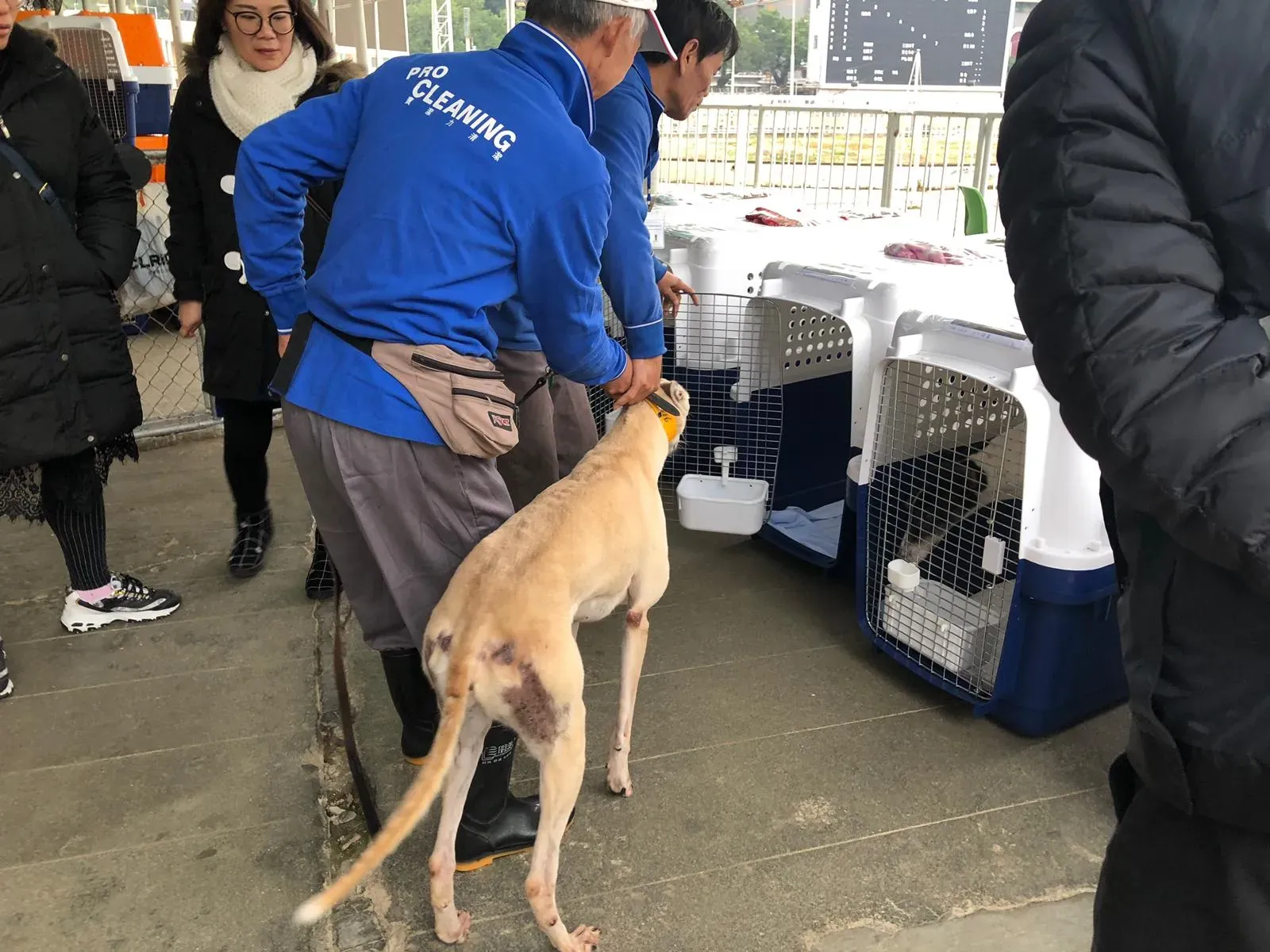 WhatsApp Image 2019 01 03 at 10.27.031