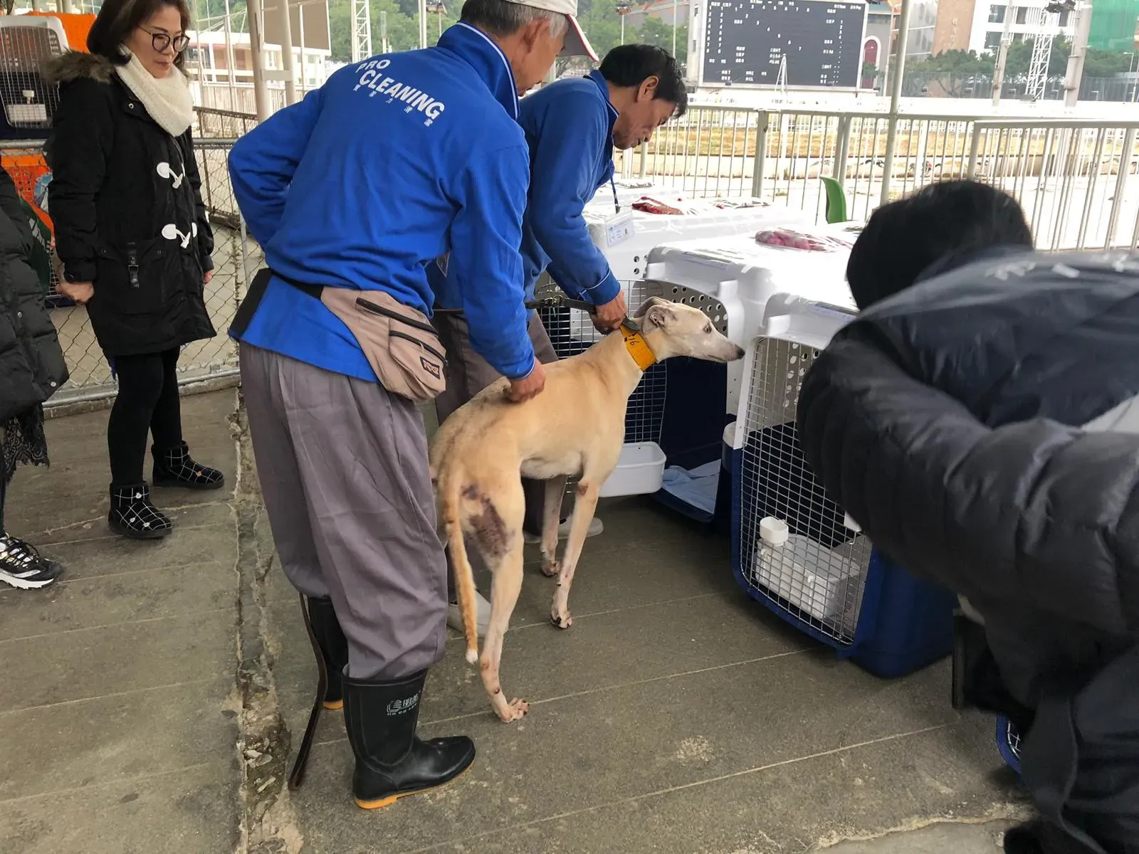 WhatsApp Image 2019 01 03 at 10.27.25