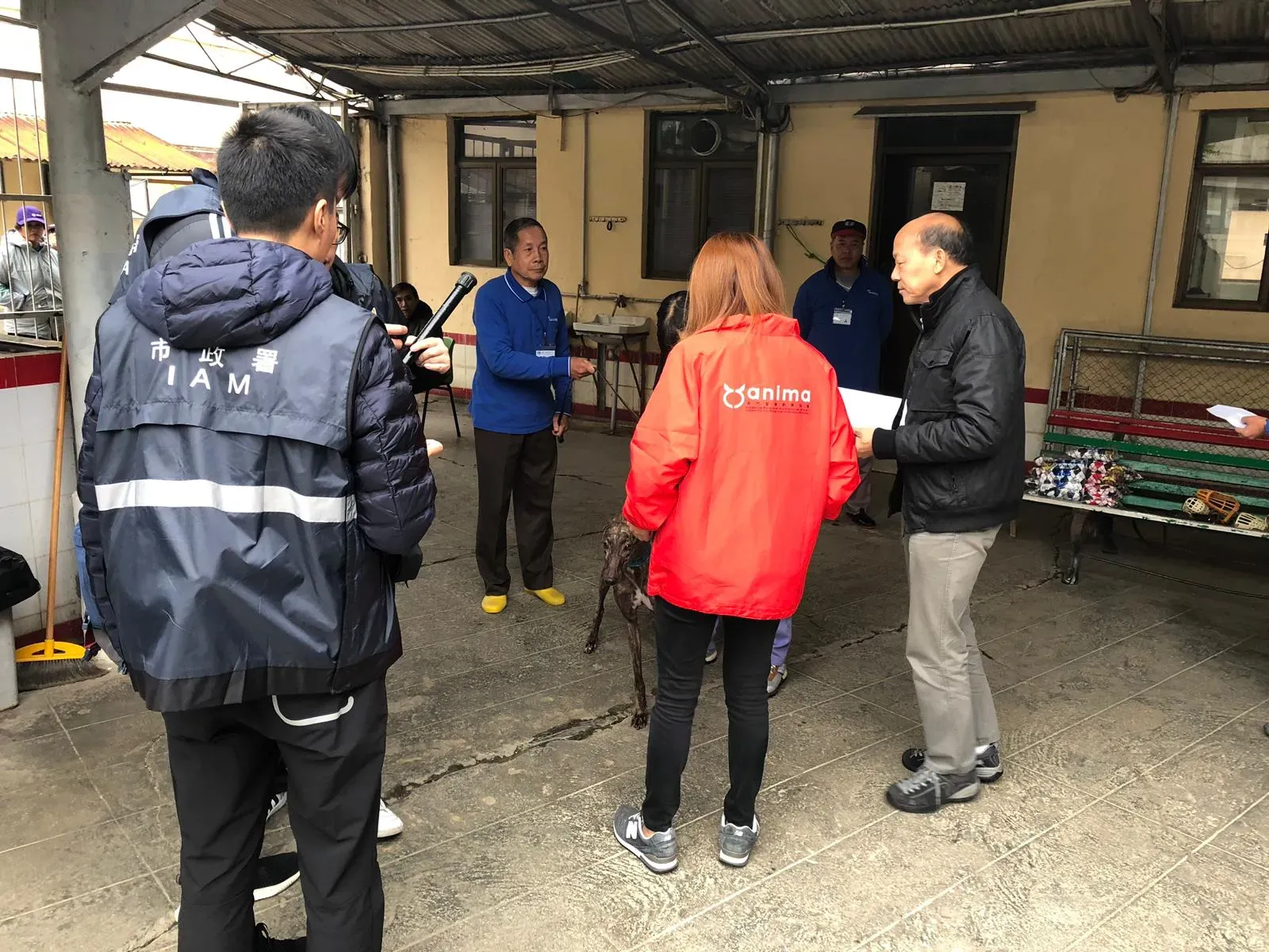 WhatsApp Image 2019 01 03 at 10.27.251