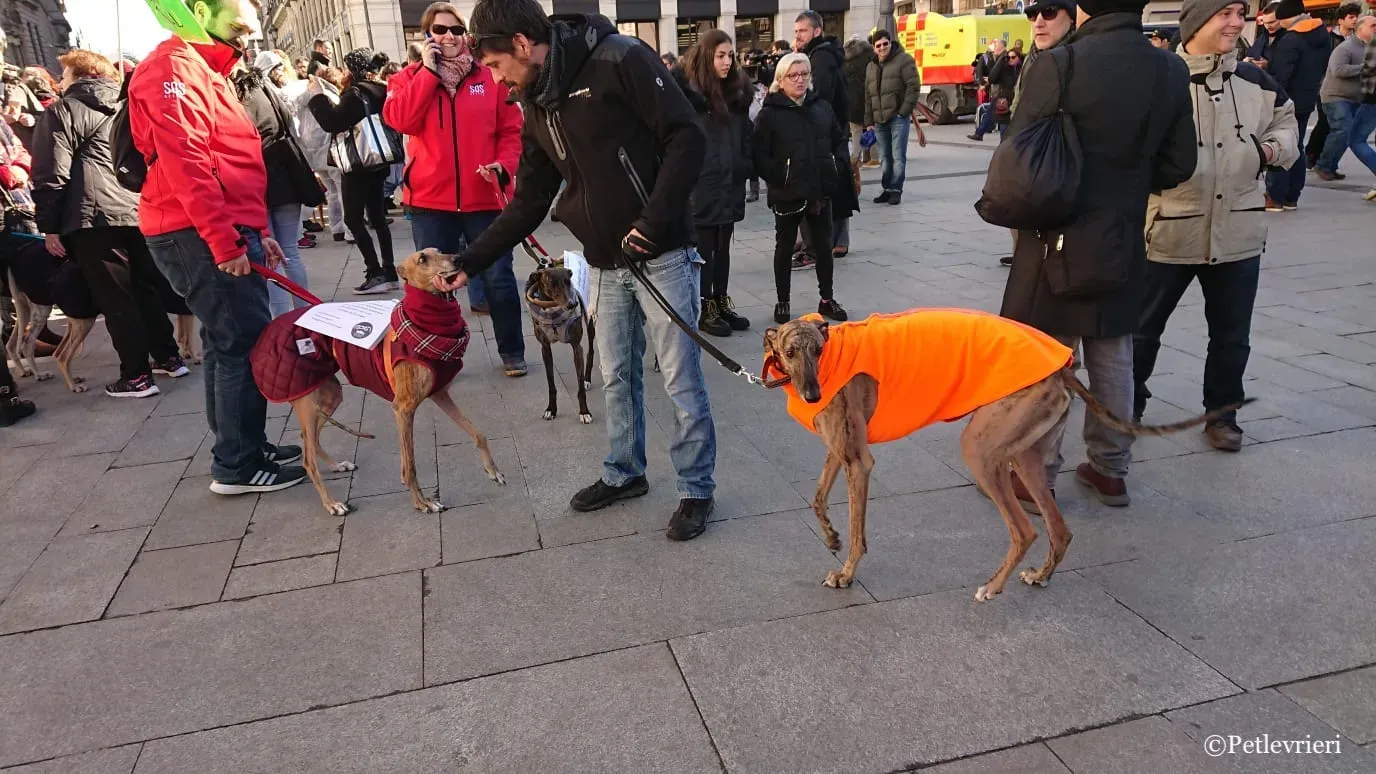 WhatsApp Image 2019 02 03 at 12.06.32