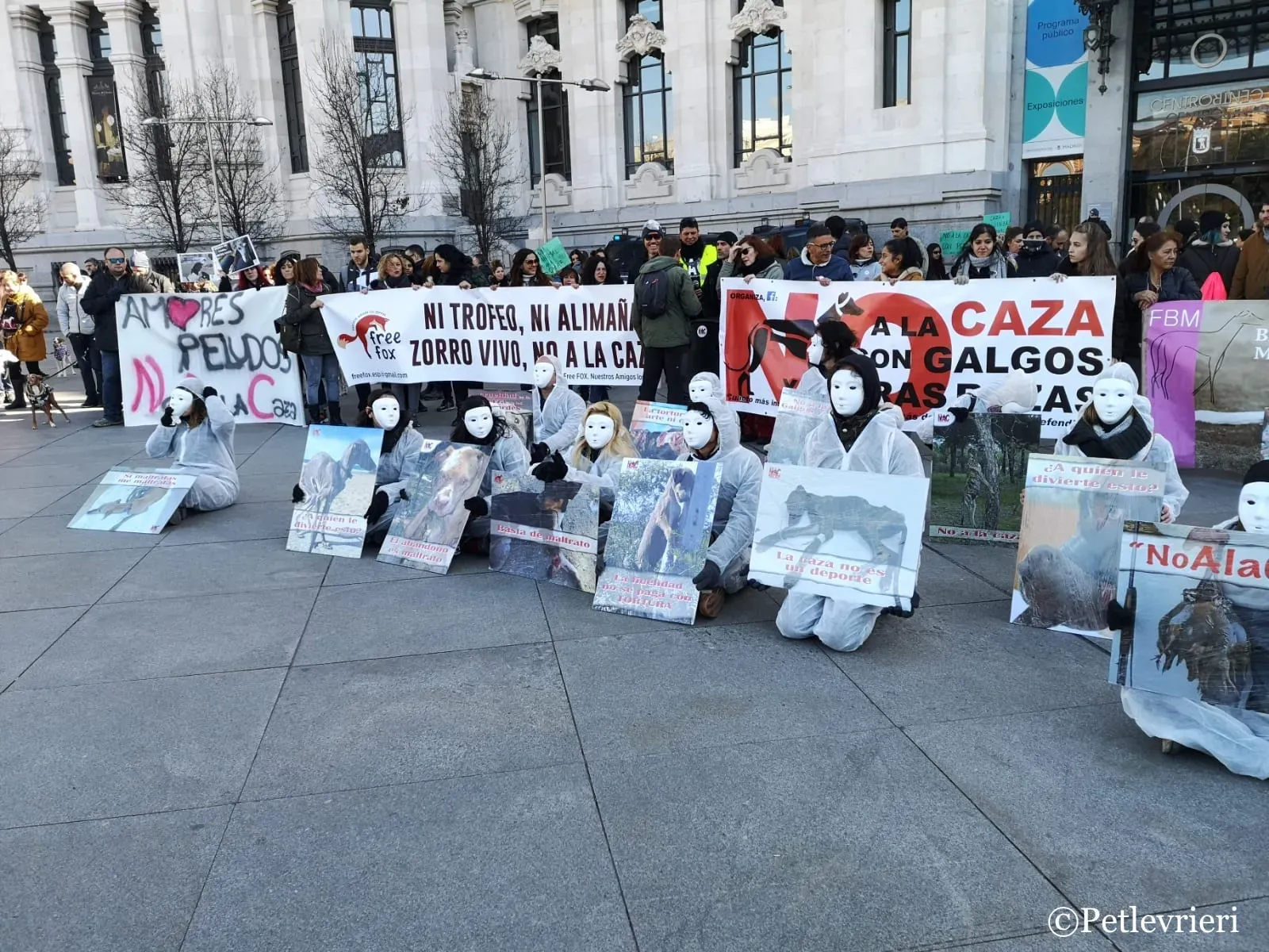 WhatsApp Image 2019 02 03 at 13.33.162