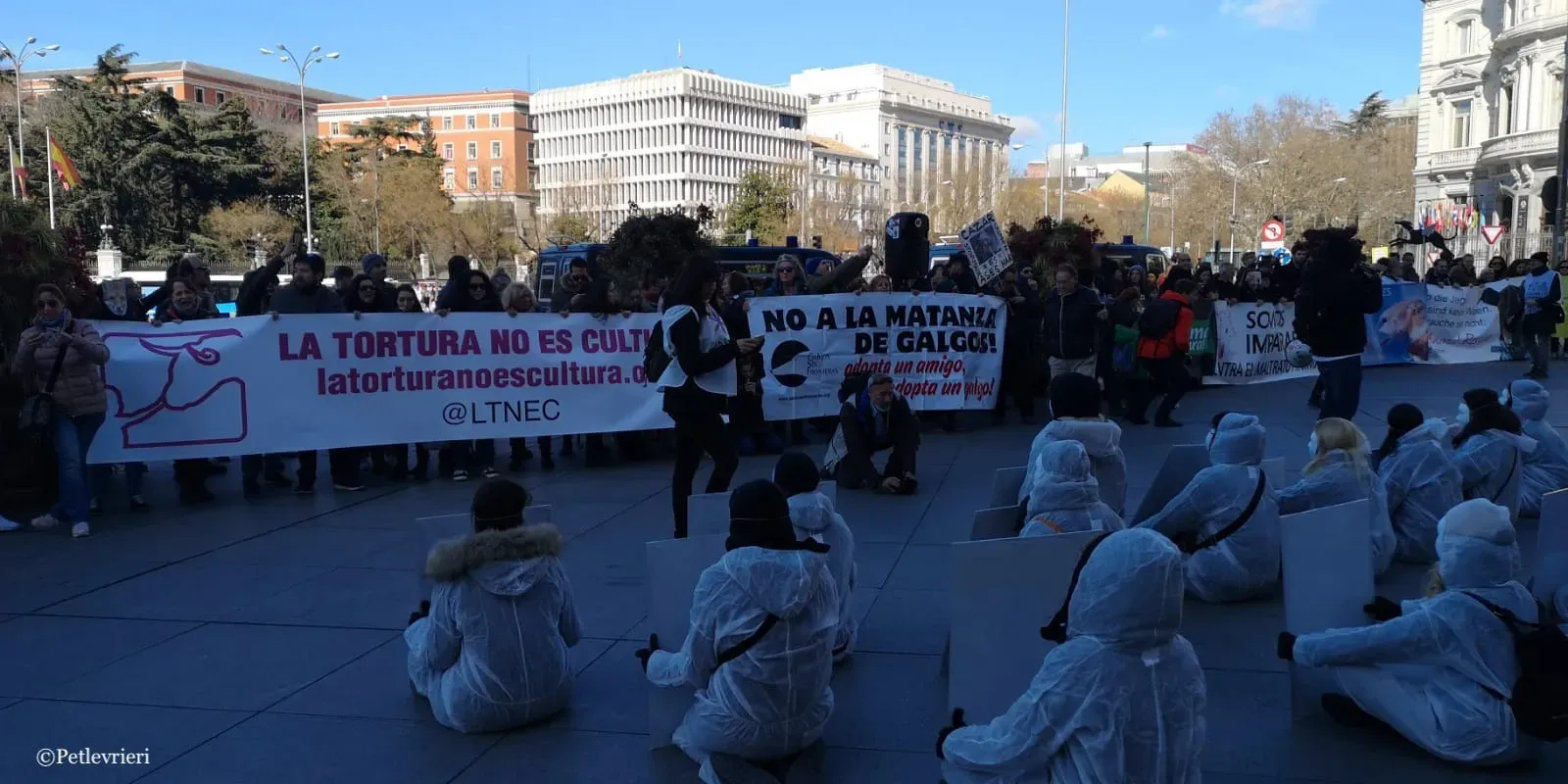 WhatsApp Image 2019 02 03 at 13.36.06