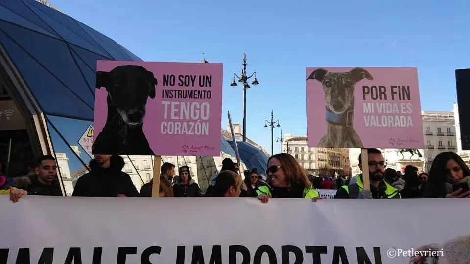 WhatsApp Image 2019 02 03 at 18.11.17