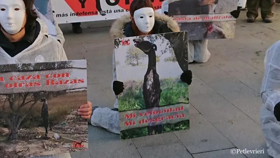 WhatsApp Image 2019 02 03 at 18.11.18