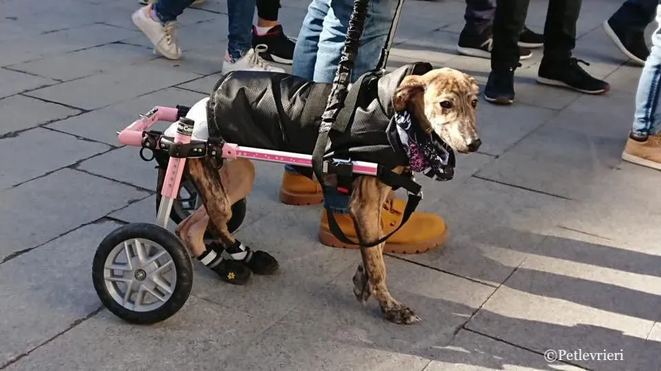 WhatsApp Image 2019 02 03 at 18.11.181