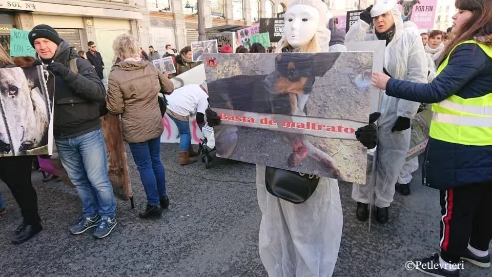 WhatsApp Image 2019 02 03 at 18.11.19