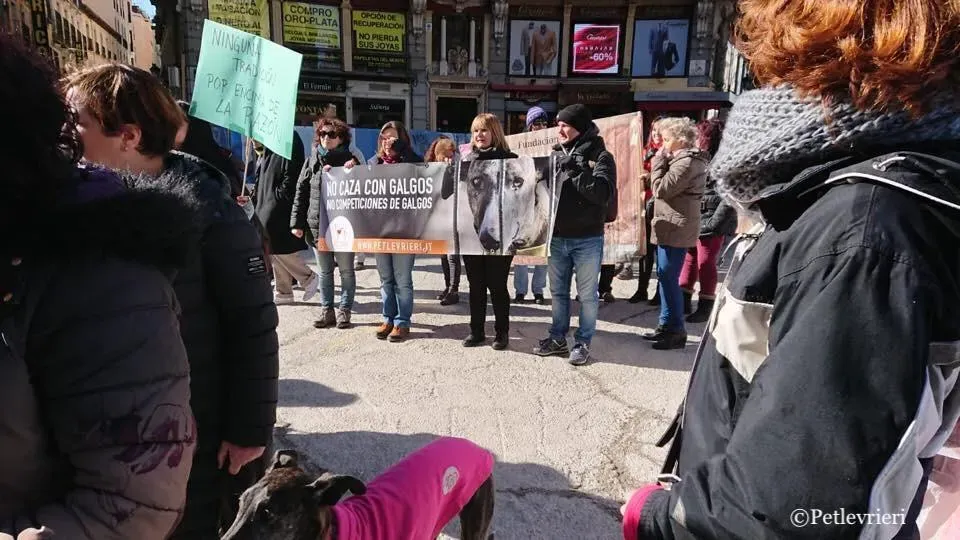 WhatsApp Image 2019 02 03 at 18.11.191