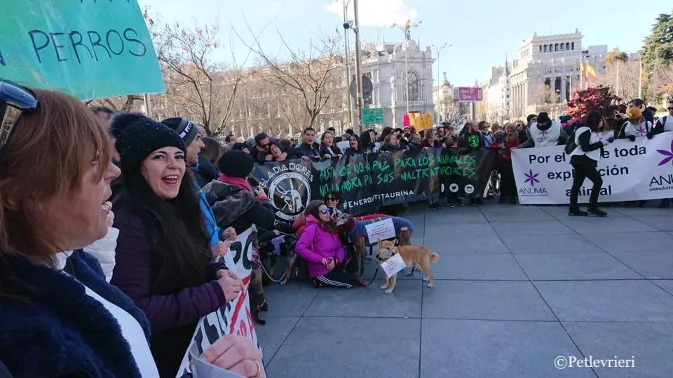 WhatsApp Image 2019 02 03 at 18.11.20