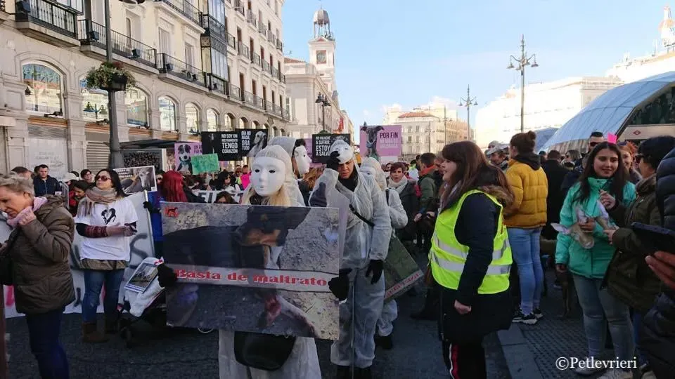 WhatsApp Image 2019 02 03 at 18.11.21