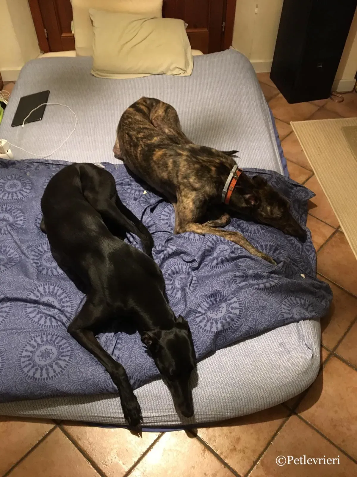 WhatsApp Image 2019 03 20 at 13.51.05 1