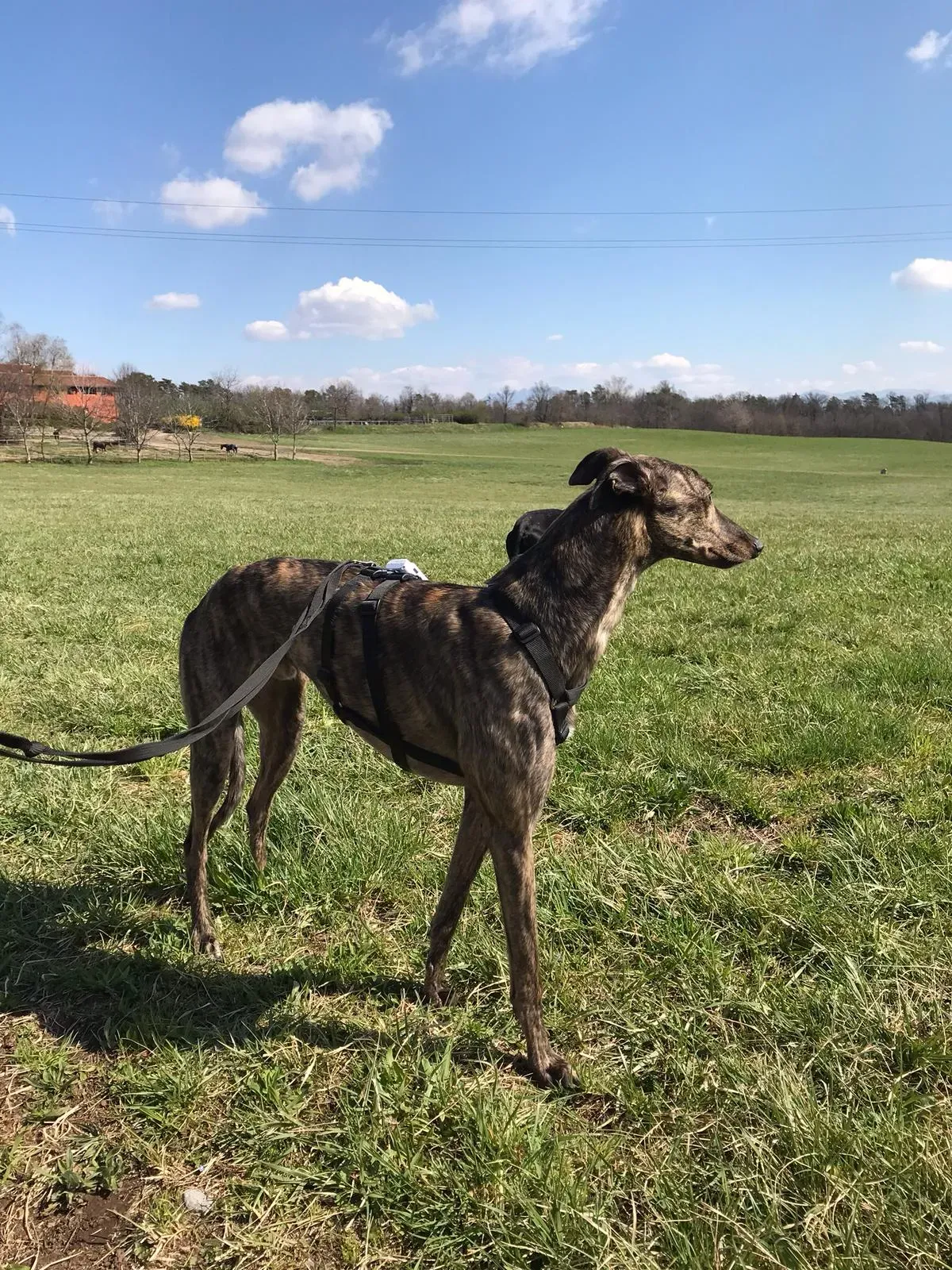 WhatsApp Image 2019 03 20 at 13.54.27