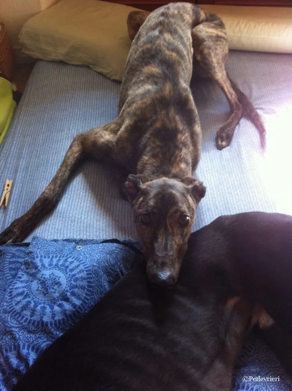 WhatsApp Image 2019 03 20 at 13.54.30