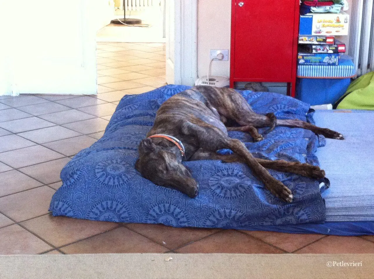 WhatsApp Image 2019 03 20 at 13.54.32