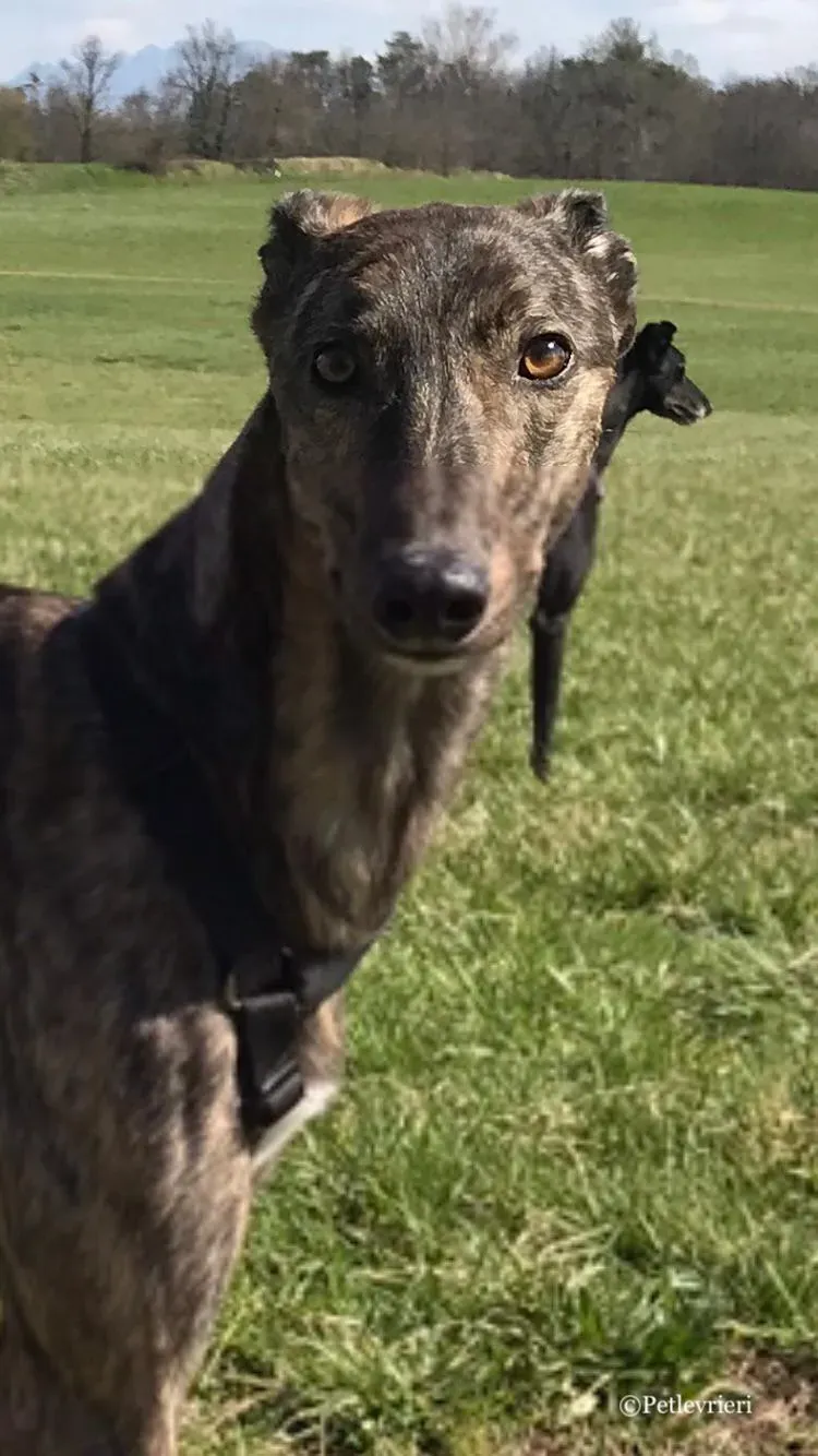 WhatsApp Image 2019 03 20 at 14.47.24