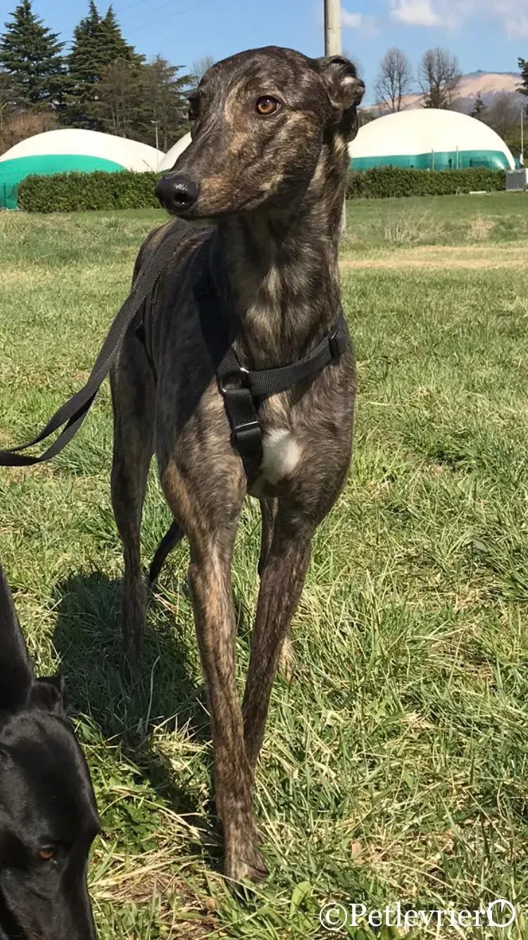 WhatsApp Image 2019 03 20 at 14.47.39