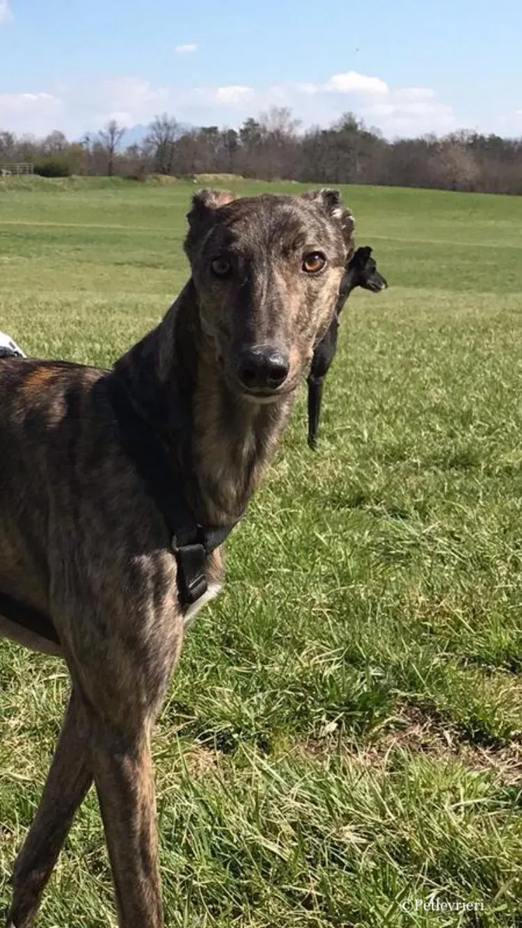 WhatsApp Image 2019 03 20 at 14.47.41