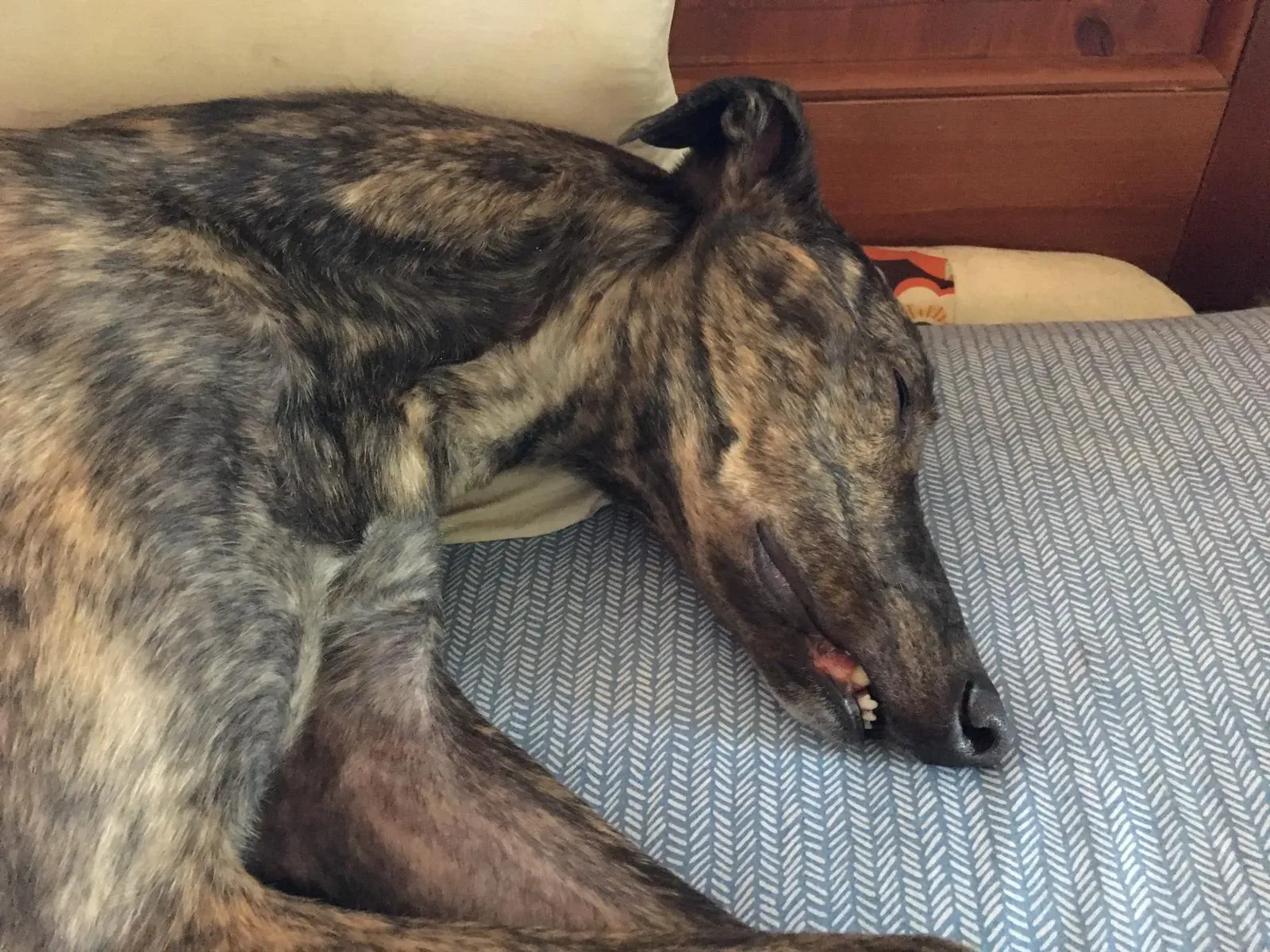 WhatsApp Image 2019 03 21 at 08.32.58