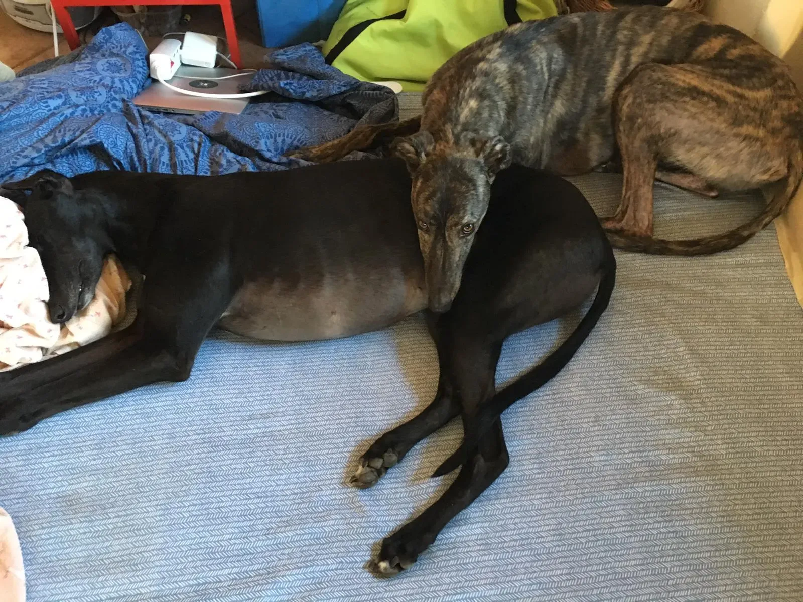 WhatsApp Image 2019 03 21 at 08.33.17