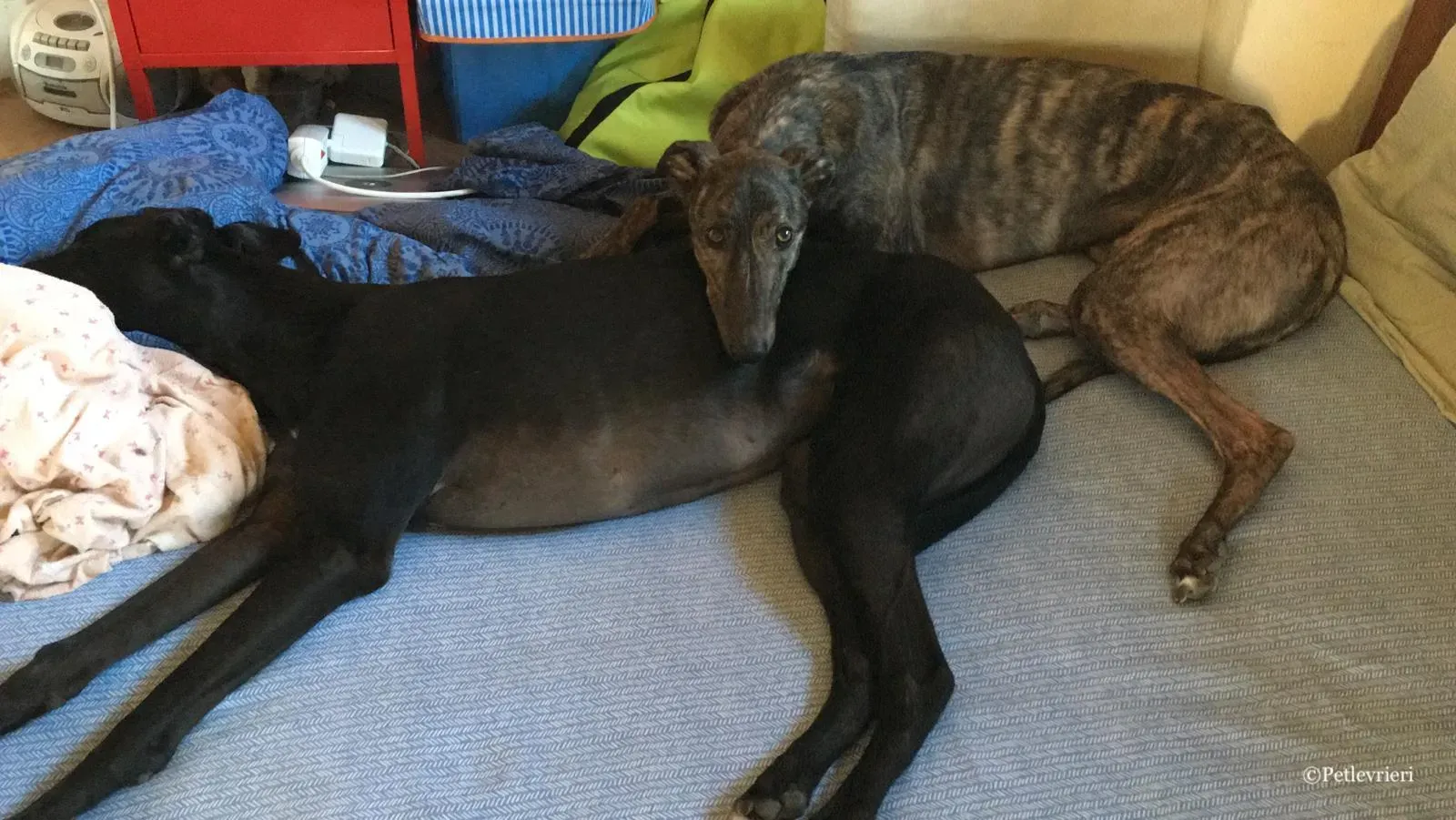 WhatsApp Image 2019 03 21 at 08.38.08