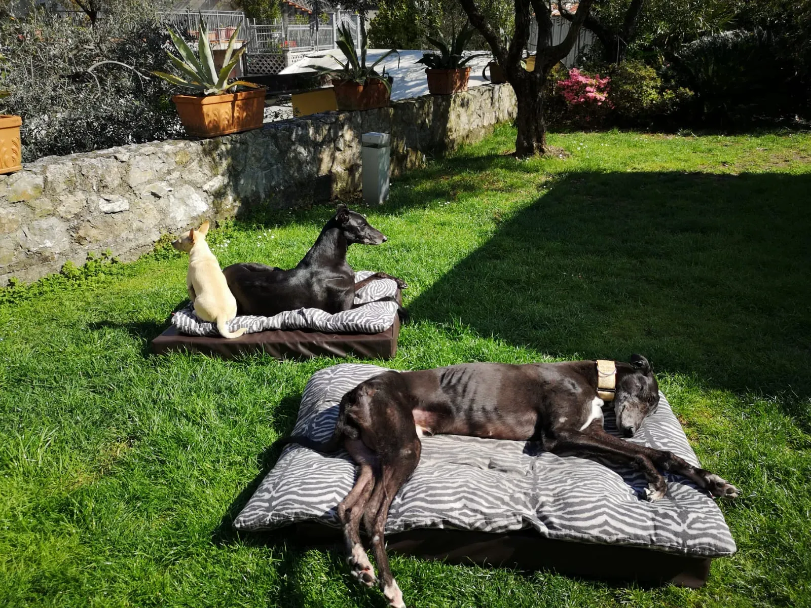 WhatsApp Image 2019 04 08 at 13.54.45