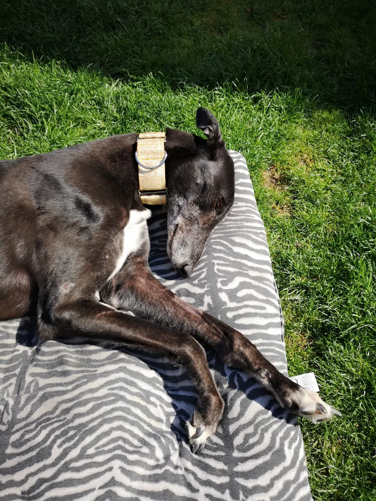 WhatsApp Image 2019 04 08 at 13.54.451