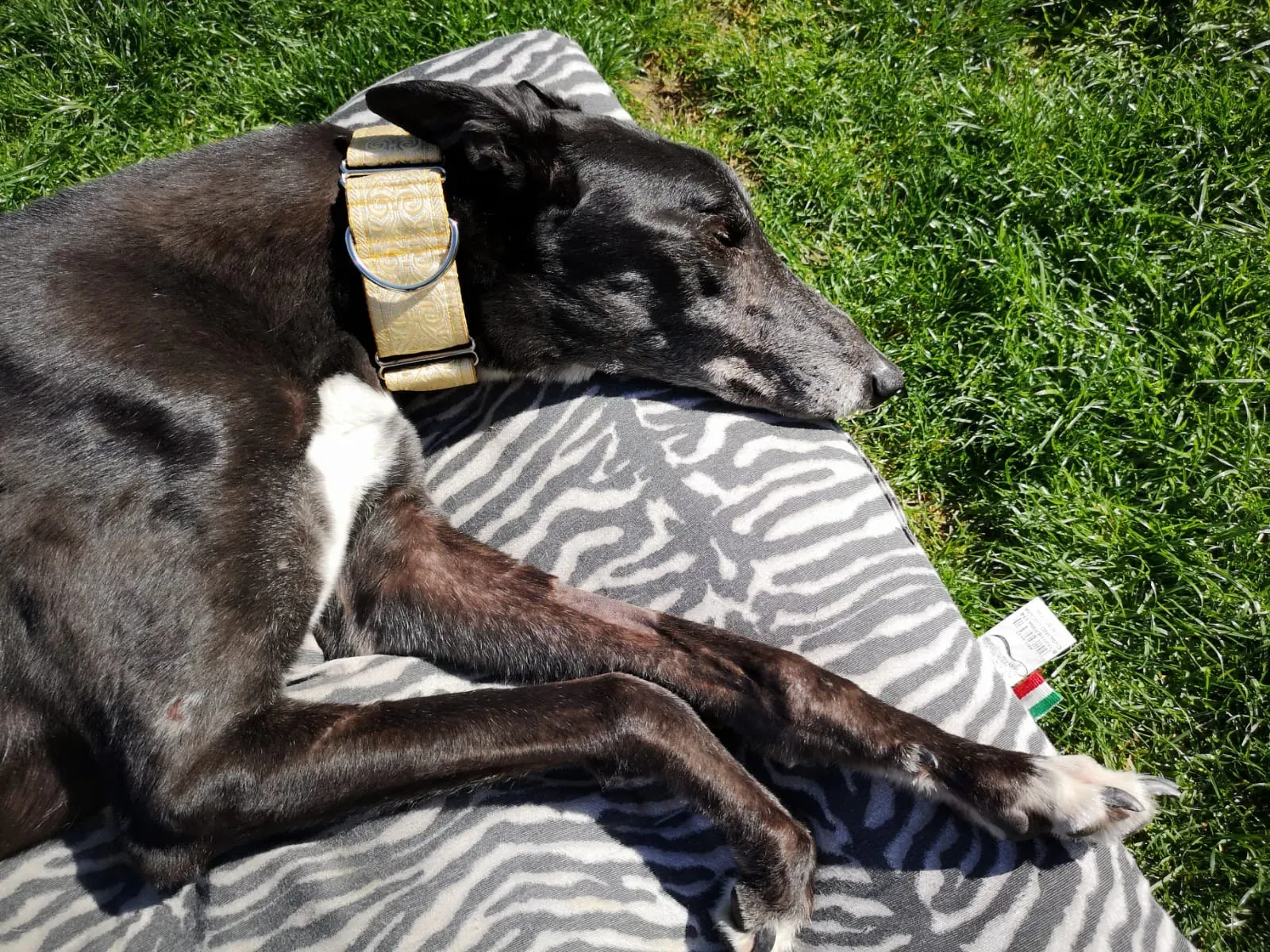 WhatsApp Image 2019 04 08 at 13.54.452