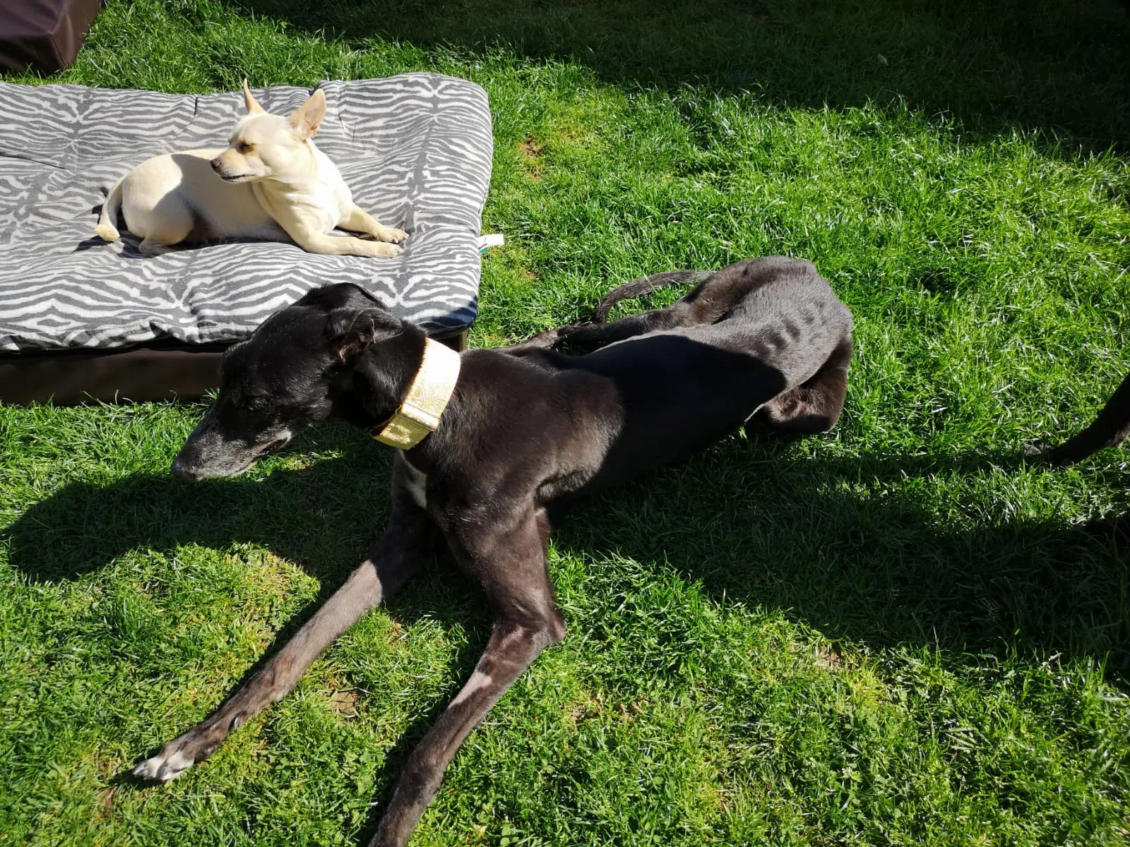 WhatsApp Image 2019 04 08 at 13.54.453