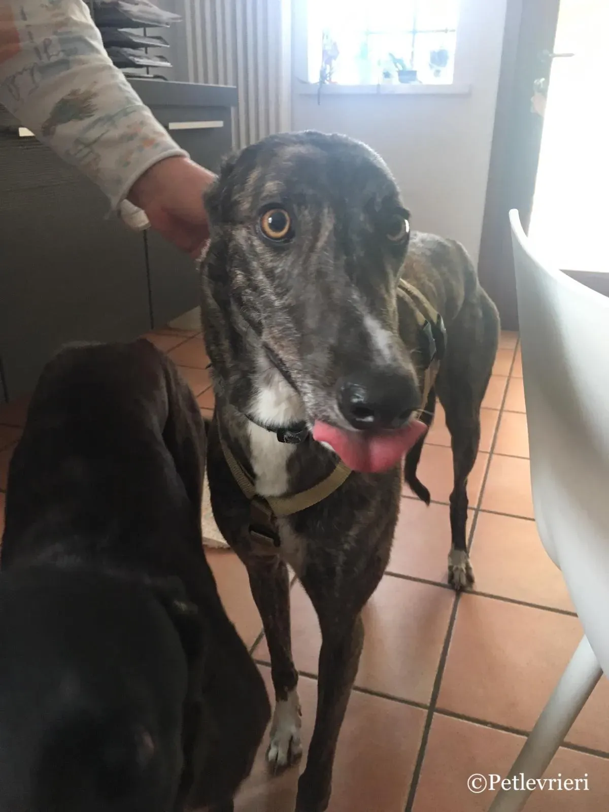 WhatsApp Image 2019 05 04 at 11.45.14