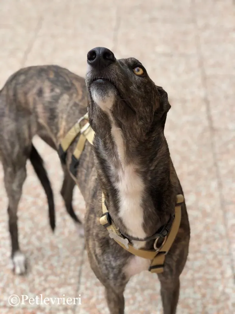 WhatsApp Image 2019 05 04 at 12.33.08