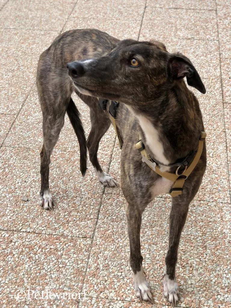 WhatsApp Image 2019 05 04 at 12.33.09