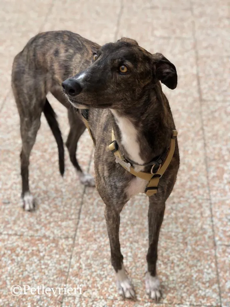 WhatsApp Image 2019 05 04 at 12.33.091